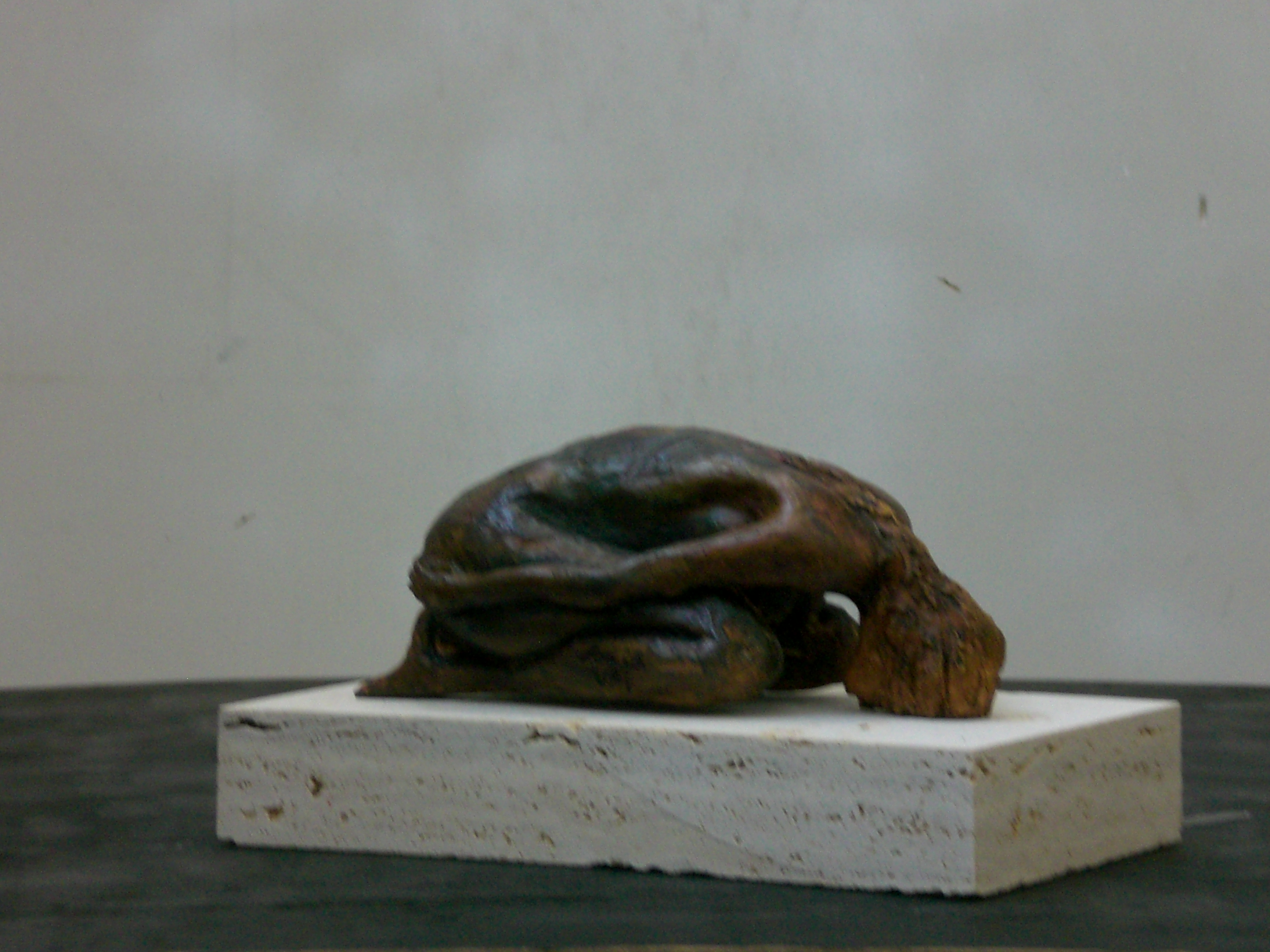 member-image