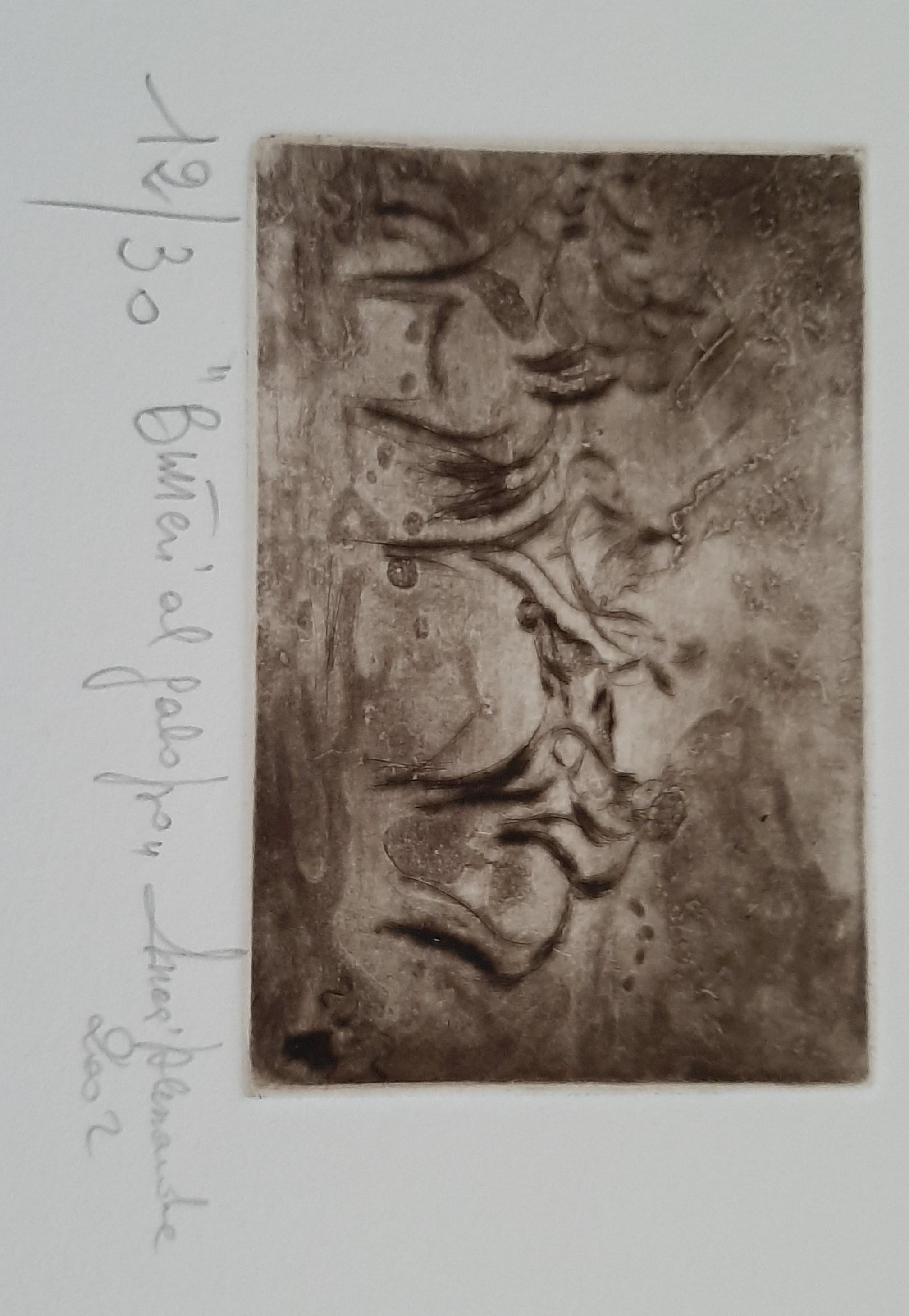 member-image